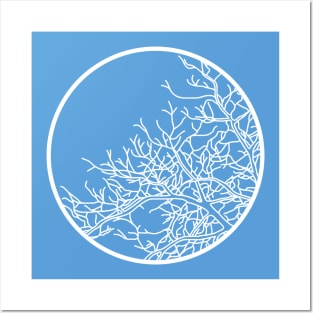 Winter Tree (small, no leaves, transparent) Posters and Art